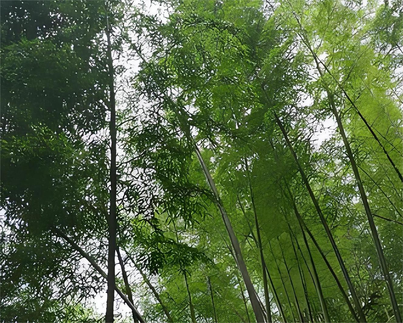 研川科技活動團建-東方綠舟之行